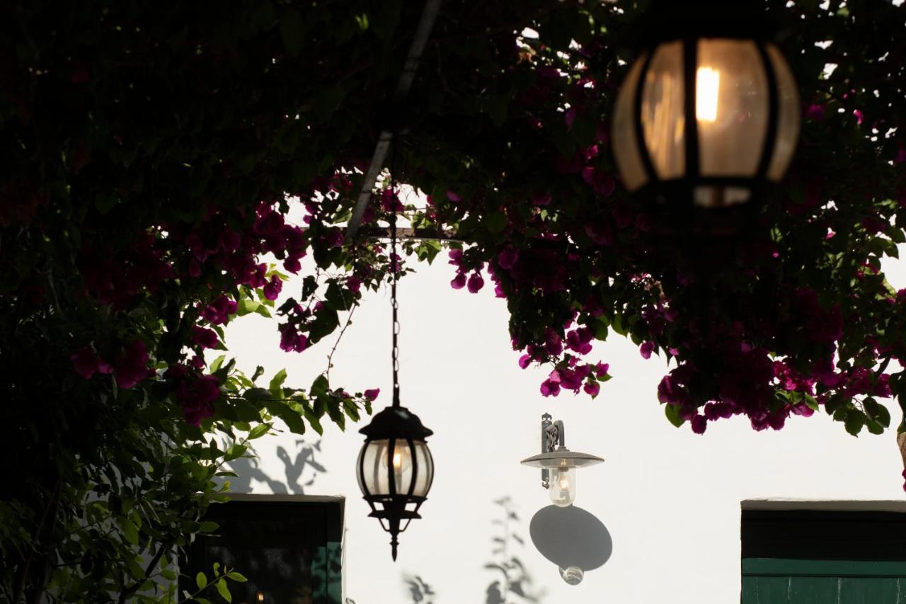 Don Alfonso Dimora D'Epoca Bed and Breakfast Racale Eksteriør billede